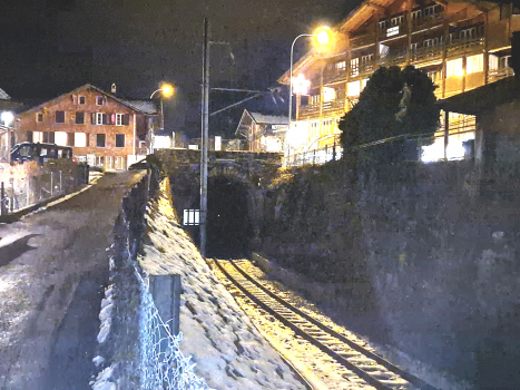 Brienzdorf Tunnel