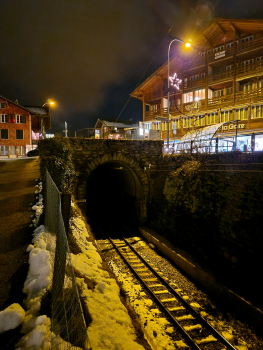 Brienzdorf Tunnel