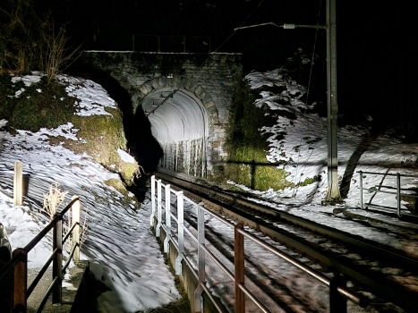 Tunnel Bürgli