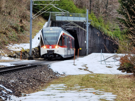 Tunnel Engelberg