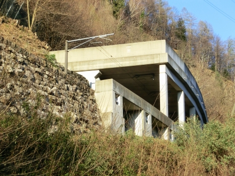 Frana di Corcapolo Tunnel western portal