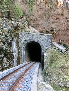 Gaggetto di dentro Tunnel western portal