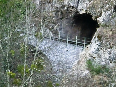 Riale di Verdasio Tunnel western portal