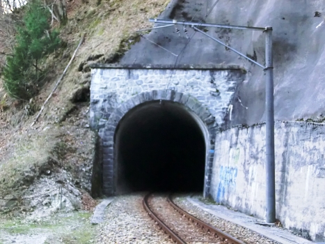 Tunnel de Verguno