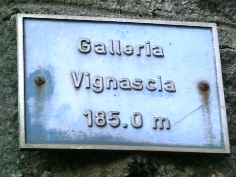 Vignascia Tunnel western portal plate