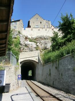 Schloss Laufen Tunnel western portal