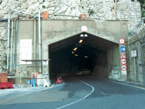 Dudley Ward Tunnel southern portal