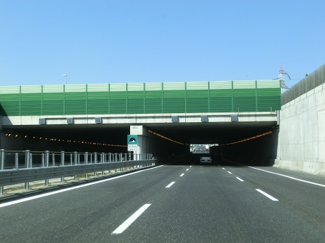 San Silvestro Tunnel