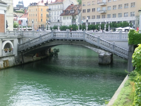 Tromostovje Bridge