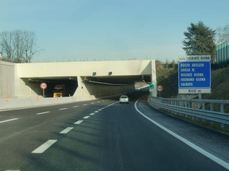 Venegoni Tunnel western portals