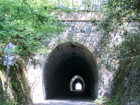 Larestra 2 Tunnel western portal