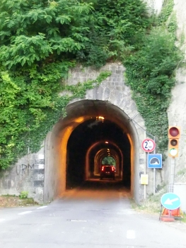 Cova Tunnel northern portal