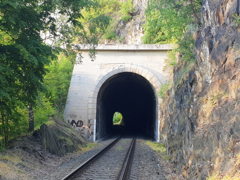 Tunnel de Davelský