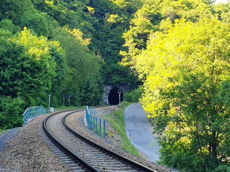Tunnel Pod Basou