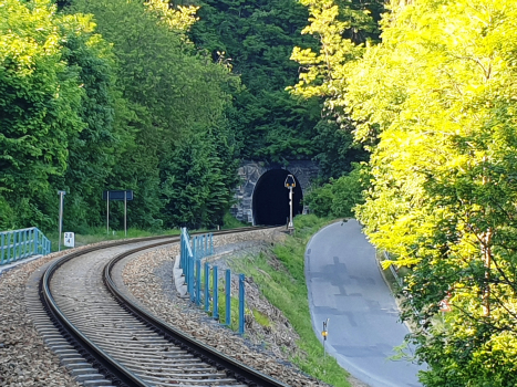 Tunnel Pod Basou