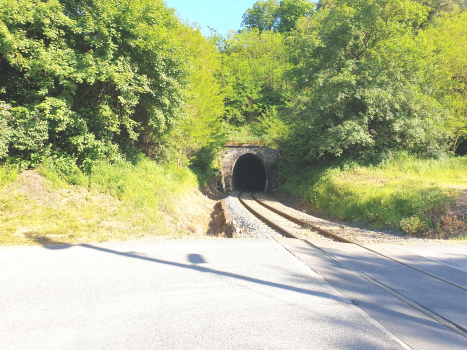 Pod Královskou Pěšinkou Tunnel