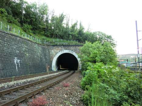 Tunnel de Pod Větruší