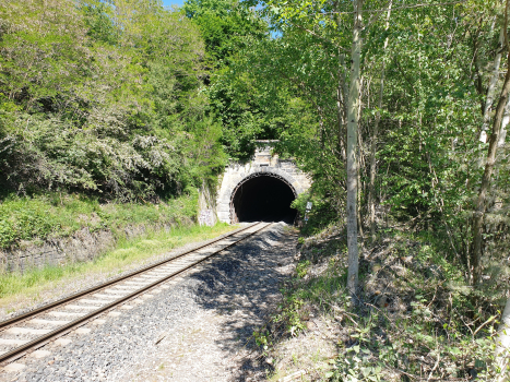 Tunnel de Rynholec