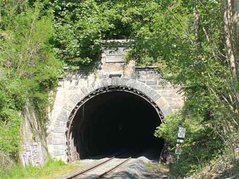Rynholec Tunnel western portal