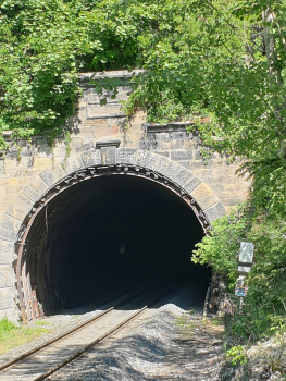 Rynholec Tunnel western portal