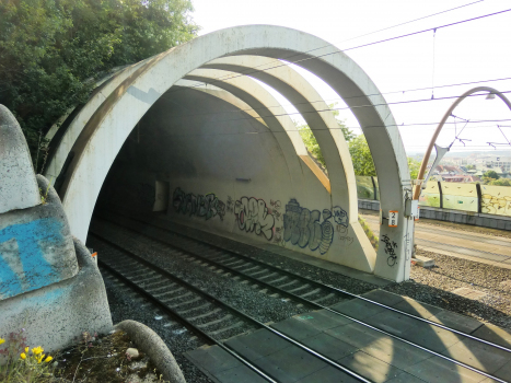 Vítkov Tunnel eastern portal