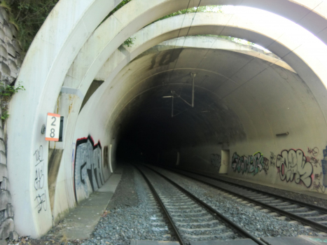 Tunnel Vítkov