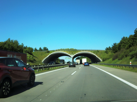 Tunnel de Osnice