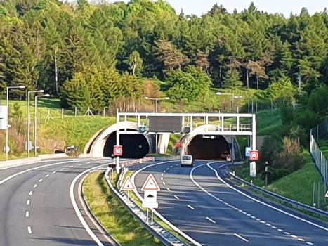 Panenská Tunnel northern portals