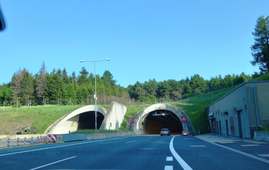 Tunnel Panenská