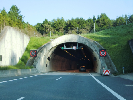 Panenská Tunnel northern portals