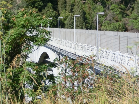 Pont sur le Musofalo