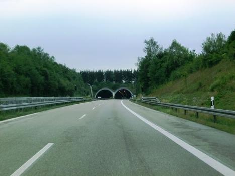 Tunnel Herfatz