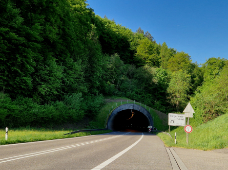 Bürgerwaldtunnel