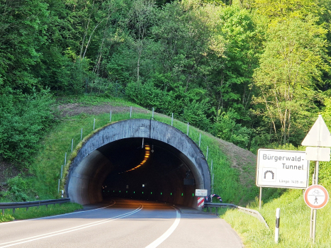 Bürgerwaldtunnel