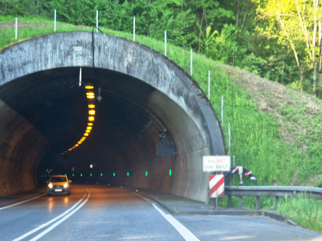 Bürgerwaldtunnel