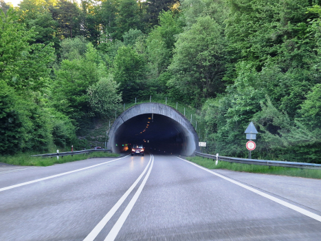 Bürgerwaldtunnel