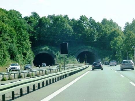 Ruhetal Tunnel northern portals