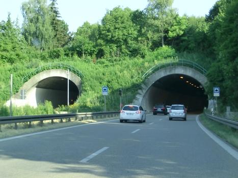 Ruhetal Tunnel southern portals