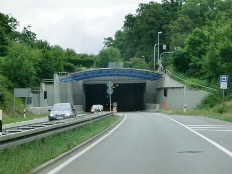 Riedlepark Tunnel western portal