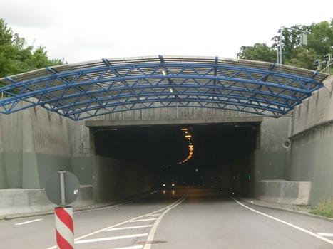 Tunnel du Riedlepark