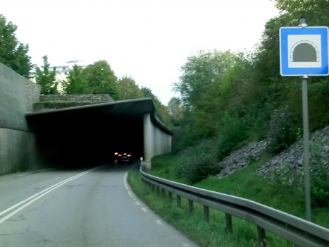 Rheinfelden Tunnel eastern portal