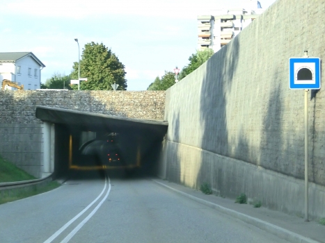 Tunnel de Rheinfelden