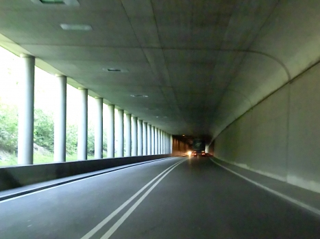 Tunnel de Rheinfelden