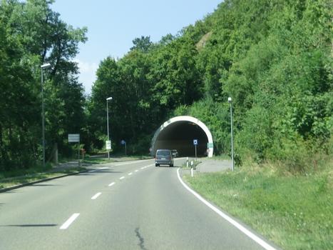 Mühlberg Tunnel eastern portal