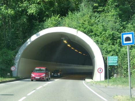 Mühlberg Tunnel eastern portal