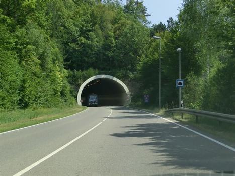 Mühlberg Tunnel western portal
