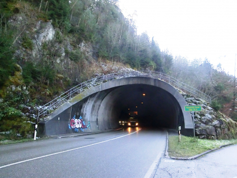 Himmelreich Tunnel northern portal
