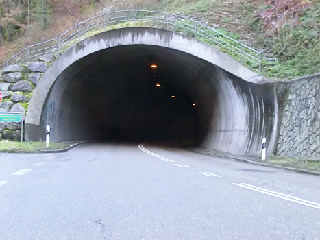 Himmelreichtunnel