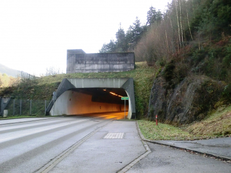 Hornbergtunnel