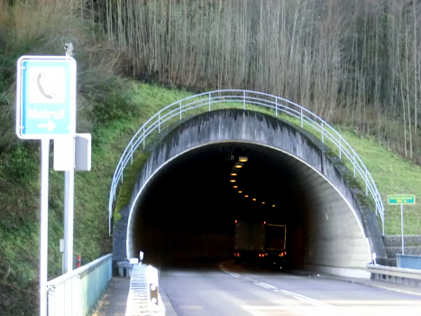 Hornbergtunnel southern portal